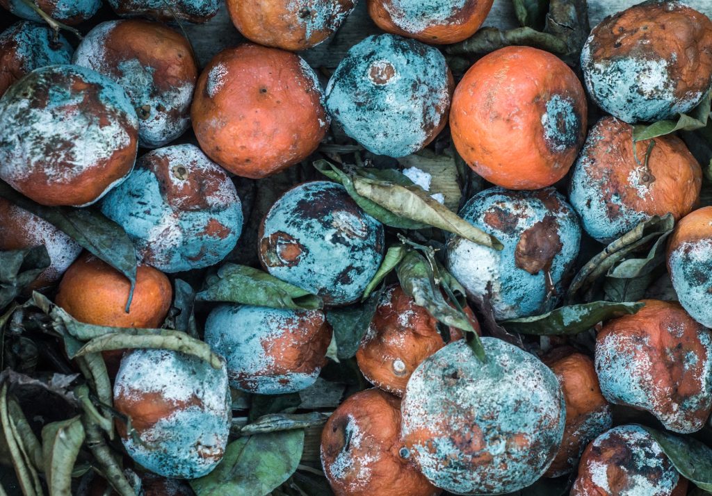 déchets organiques pour methaniseur, valorisation des déchets alimentaires en énergie
